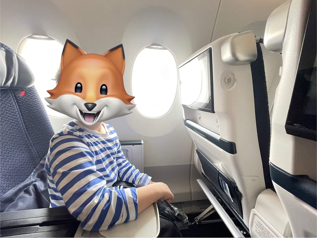 Premium Economy Seat on the Air France A350