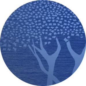 Emirates Skywards Blue Tier icon