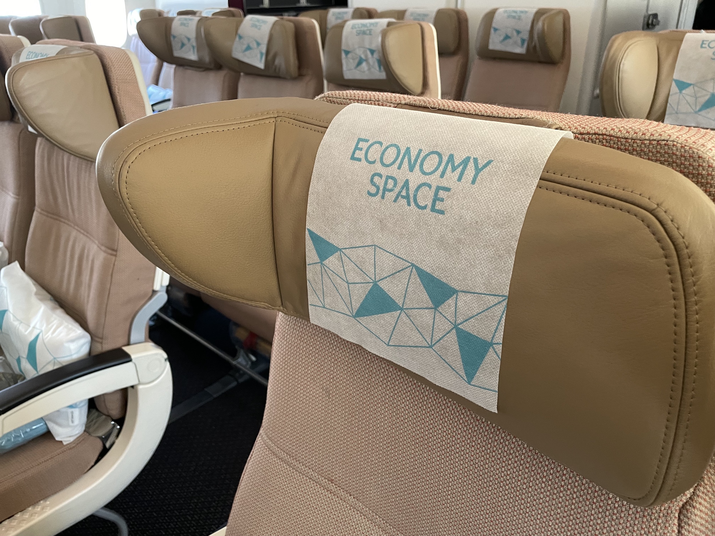 Etihad Economy Space Headrest 787